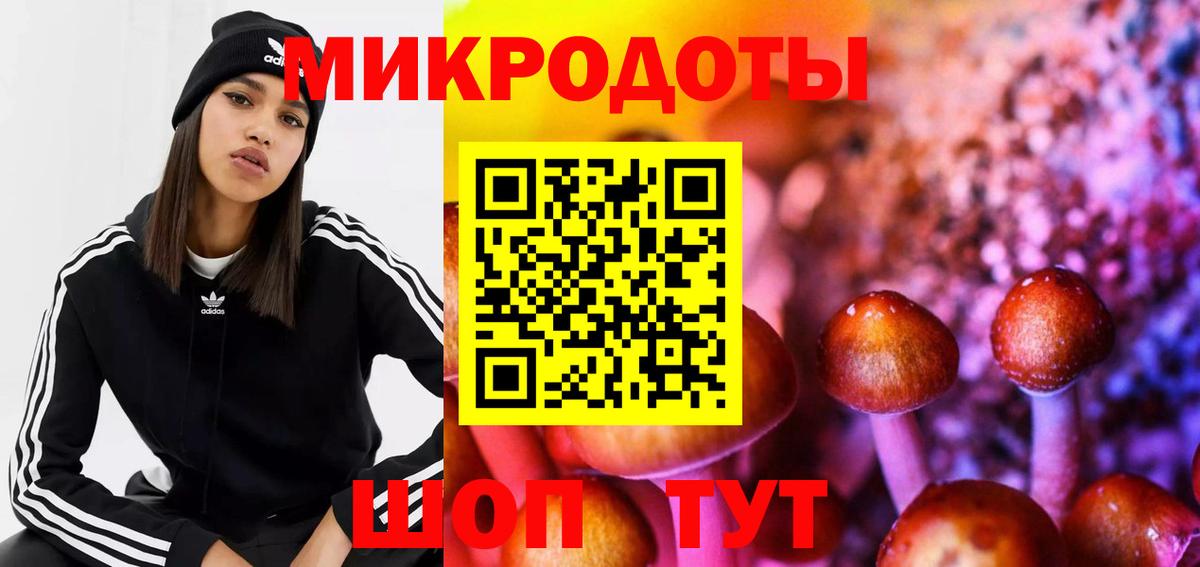 Псилоцибиновые грибы Cubensis  Вход с VPN  Санкт-Петербург 